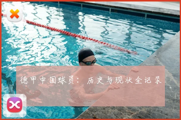 德甲中国球员:历史与现状全记录