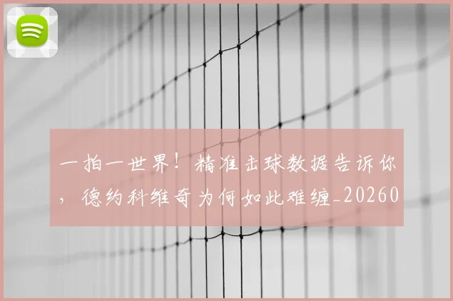 一拍一世界！精准击球数据告诉你，德约科维奇为何如此难缠_20260530144200_20260702173647