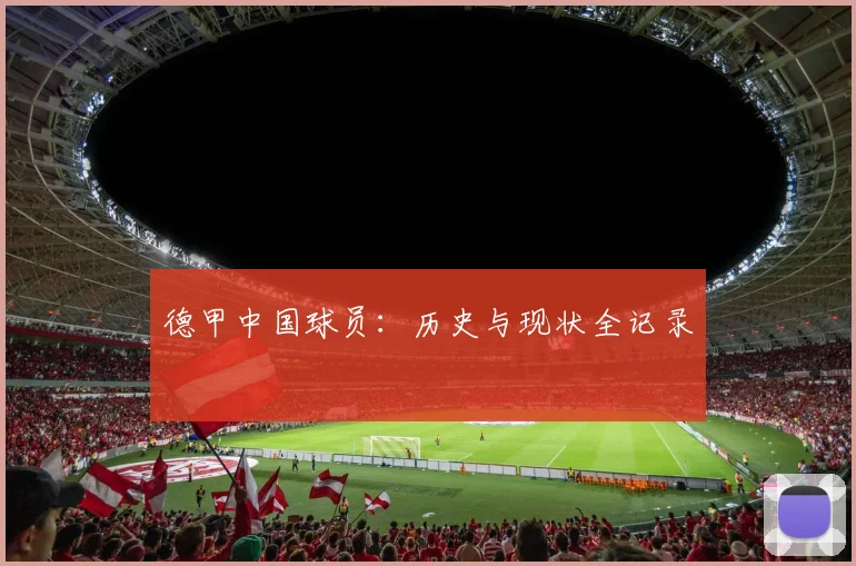 德甲中国球员:历史与现状全记录