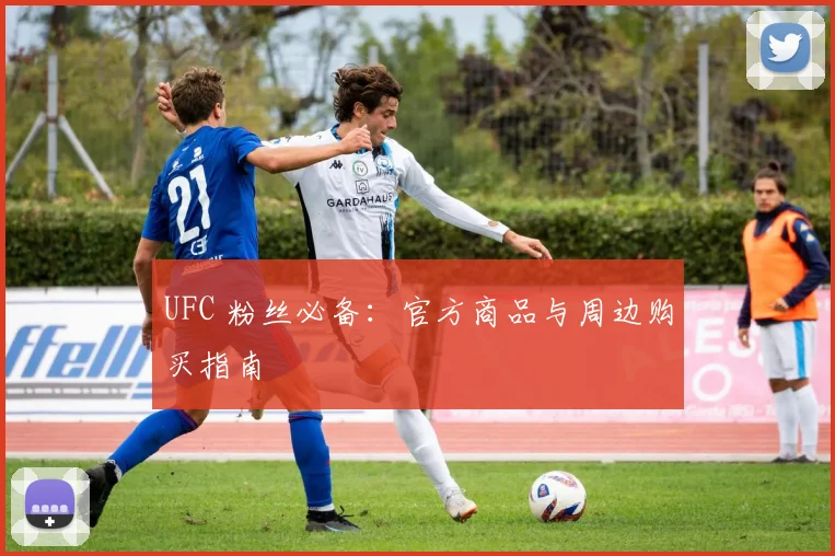 UFC 粉丝必备:官方商品与周边购买指南